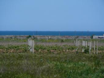  Regulated Plot near Aheloy Aheloy